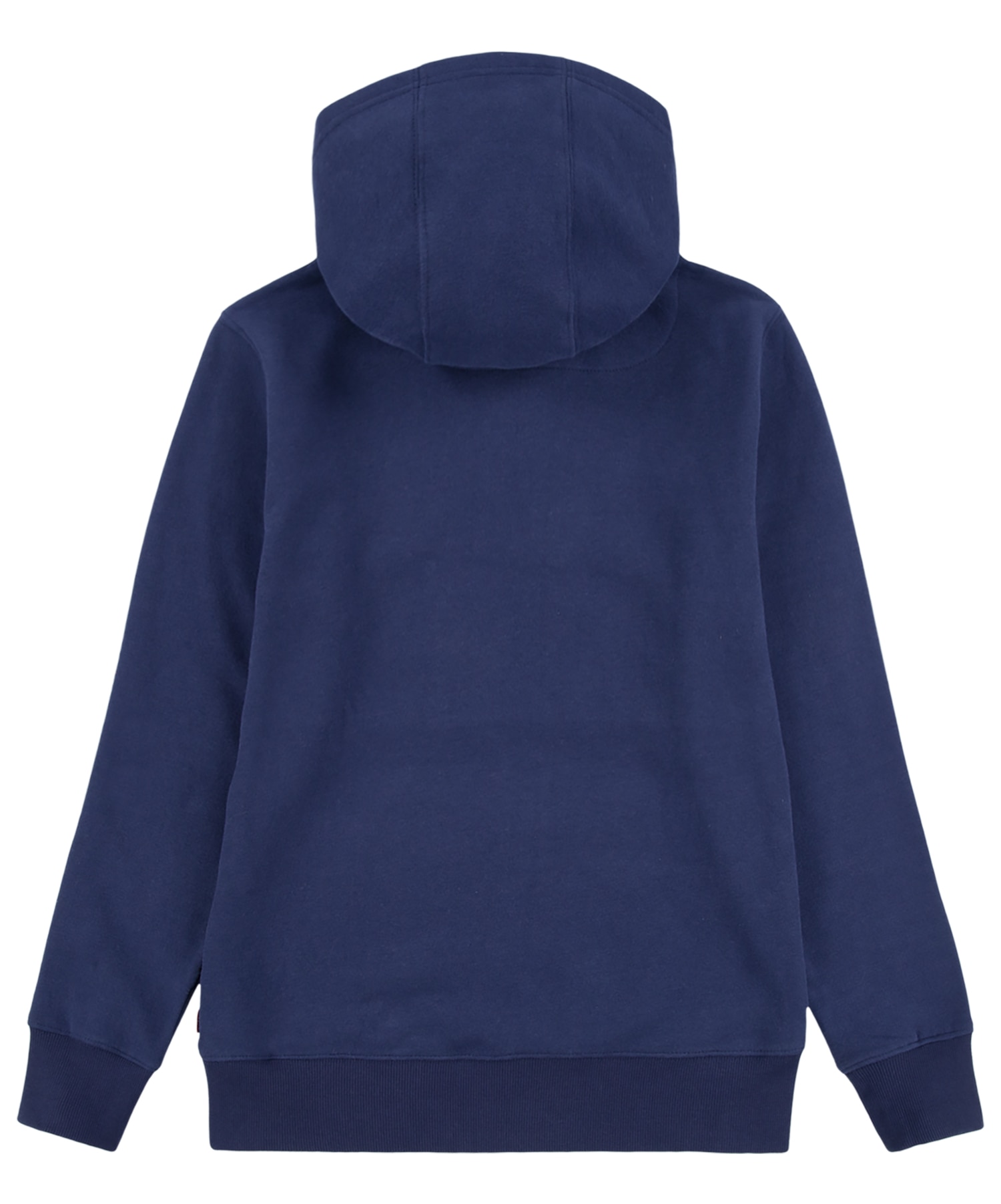 Levi's Sketched  Hoodie jr