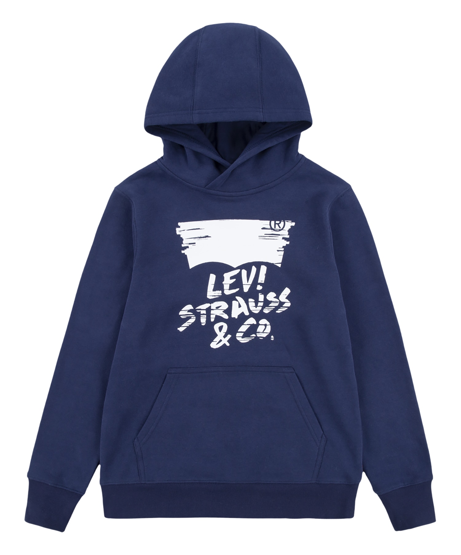 Levi's Sketched  Hoodie jr