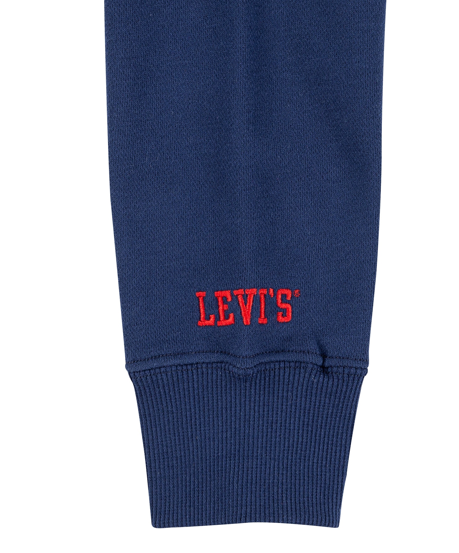 Levi's Prep Sport Hoodie jr