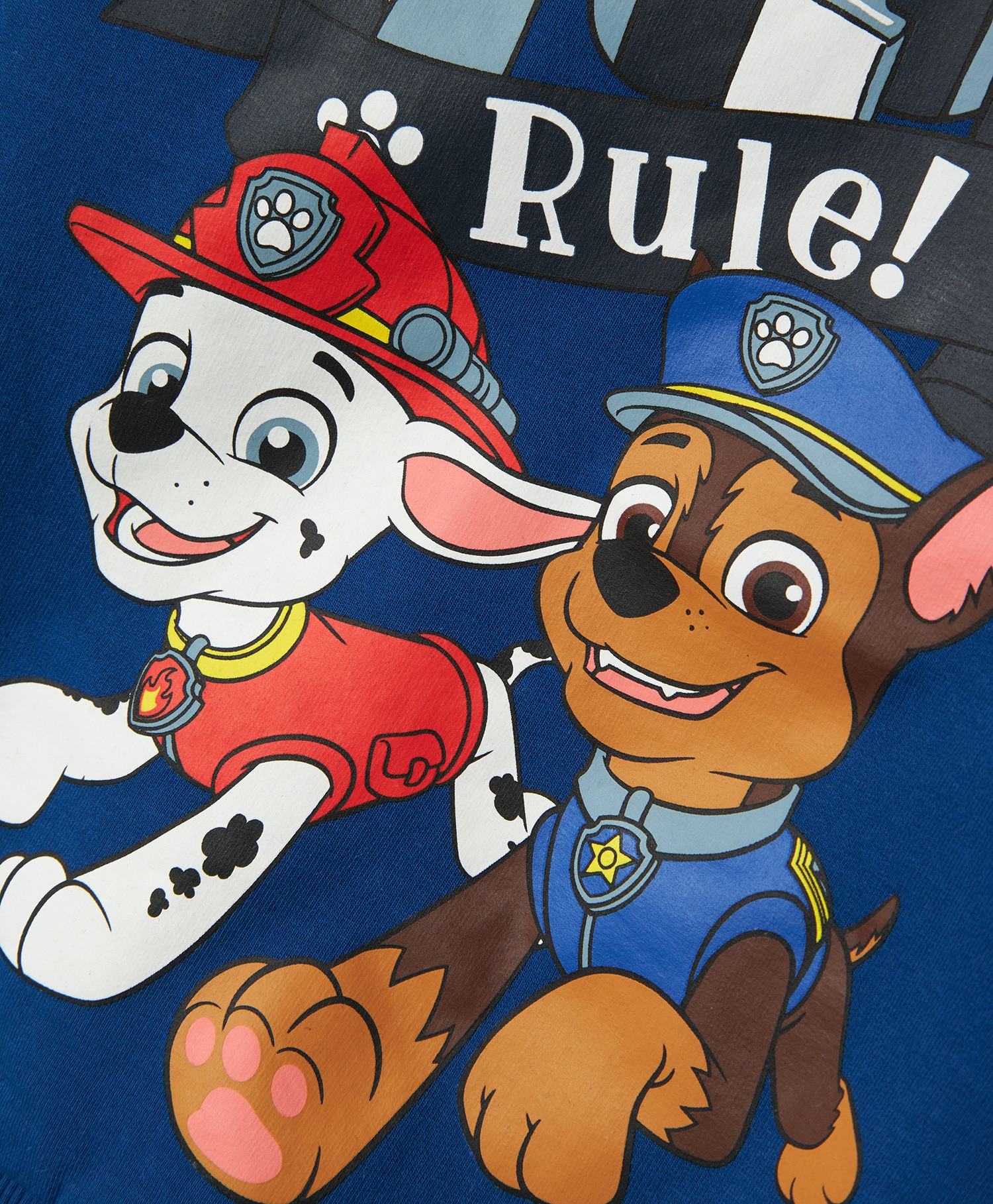 Name it Day Pawpatrol Sweat