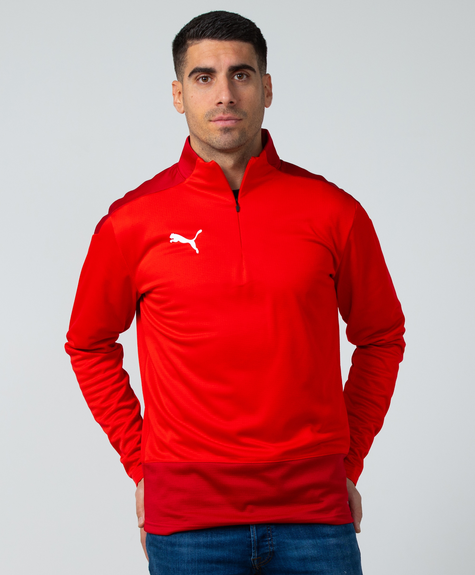 Puma Team Goal 23 Training 1/4 Zip